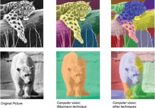 משמאל: תמונות רגילות של נמר ודב. מימין: הדרך שבה מחשב מפרש את התמונות כשהוא מחלק אותן לאובייקטים שונים (כל צבע מייצג אובייקט)